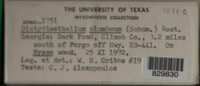 Image Associated With the Occurence